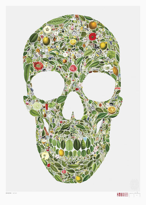 The Botanist - An Intricate Skull Poster