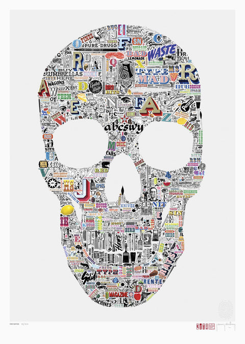 The Illustrator - An Intricate Skull Poster