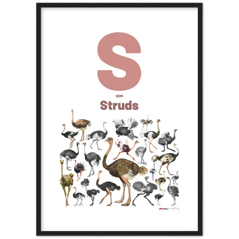 S som Struds - a Danish letter poster