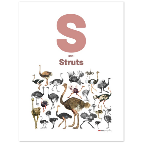 S som i Struts - a Swedish letter poster