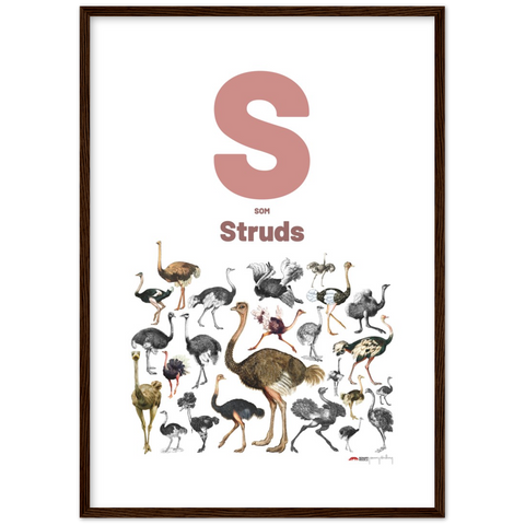 S som Struds - a Danish letter poster