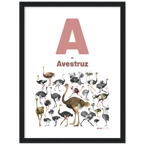 A de Avestruz - a Spanish letter poster