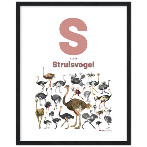 S als Struisvogel - a Dutch letter poster