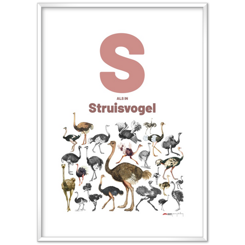 S als Struisvogel - a Dutch letter poster