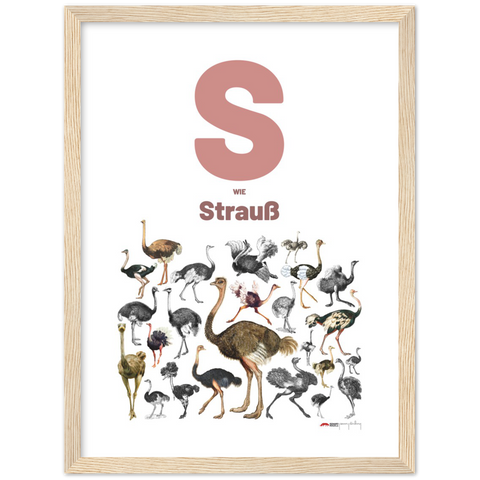 S wie Strauß - a German letter poster