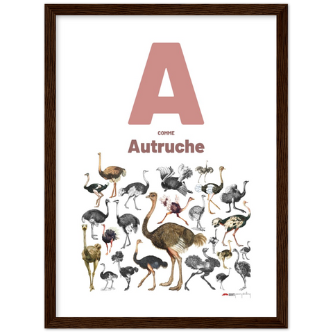 A comme Autruche - a French letter poster