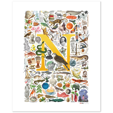 N is for Nature - a poster with English N words