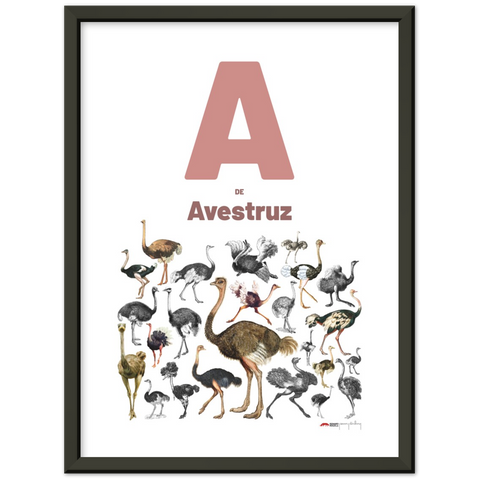 A de Avestruz - a Portuguese letter poster