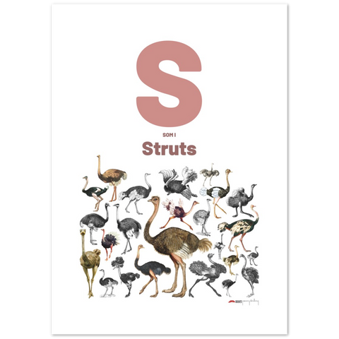 S som i Struts - a Swedish letter poster