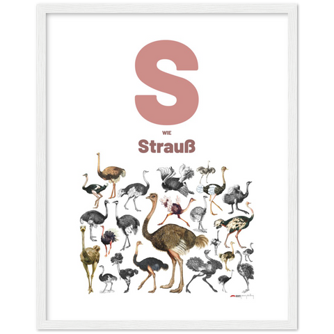 S wie Strauß - a German letter poster