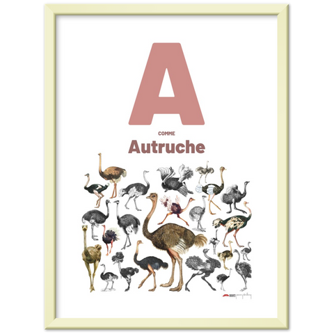 A comme Autruche - a French letter poster