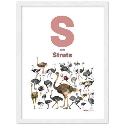 S som i Struts - a Norwegian letter poster