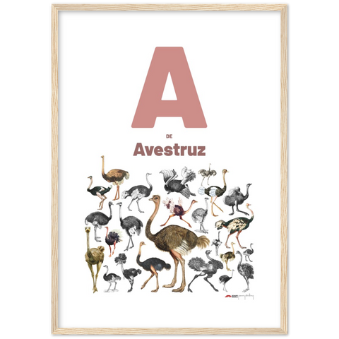 A de Avestruz - a Spanish letter poster