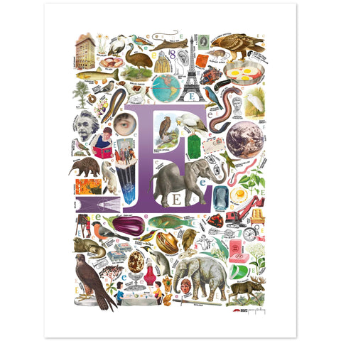 E is for Explore - a poster with English E words